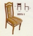 Irys 1